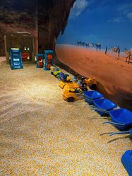 -卡通尼·Safari非洲探索乐园·生日会(金桥国际商业广场店)