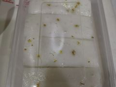 -阊门姚记豆浆(旧学前直营店)