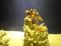 -亚龙湾中心广场·贝壳馆