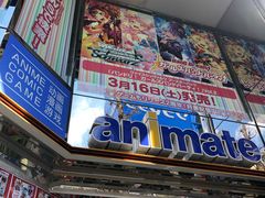 -Animate(秋叶原本馆)