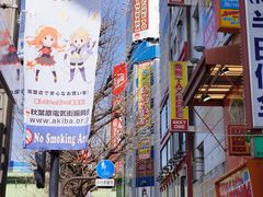 店内环境-秋叶原电器街