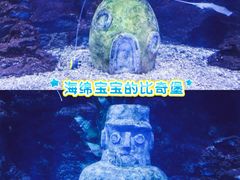 -南昌海洋公园