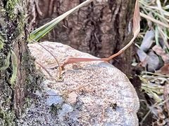 -西湖风景区-江洋畈生态公园