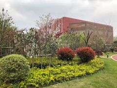 -上海财经大学(国定路校区)