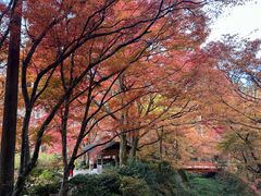 -三千院