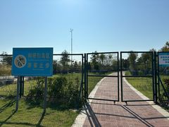 -鹦鹉洲湿地公园