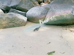 -巴拉湾海滩