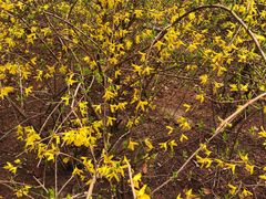 -河南省黄河迎宾馆