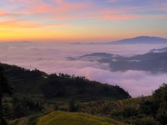 -紫鹊界梯田景区
