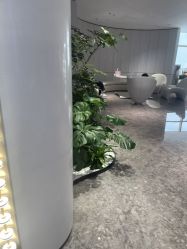 -广州美莱医疗美容医院