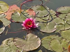 -老鳖私房菜(常青花园店)