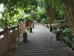 -成都市活水公园