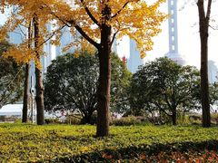 -北外滩滨江绿地