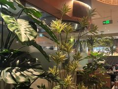 -云海肴·汽锅鸡·云南菜(领展购物广场·中关村店)