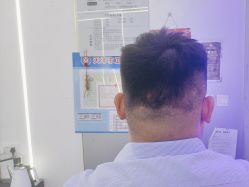 -茗梵谷造型