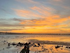 -宝安西湾红树林湿地公园