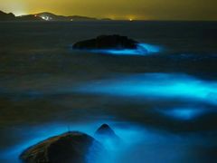 -阿军排档·烧烤
