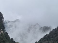 -尧山风景区