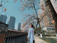 -成都市活水公园