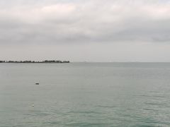 -万绿园