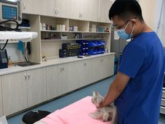 -美美宠物诊疗中心·异宠·骨科(滨江东信分院)