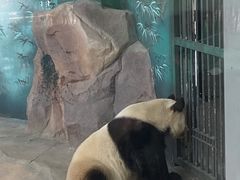 -苏州太湖国家湿地公园