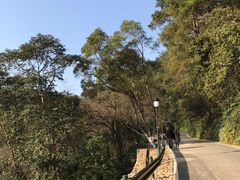 -三门江国家森林公园