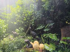 -青青世界