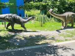 -武陵山森林公园