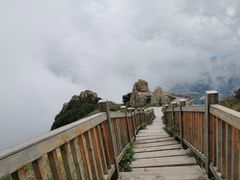 -白草畔自然风景区