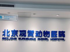 -北京观赏动物医院·24小时大型综合·猫专科·异宠专科
