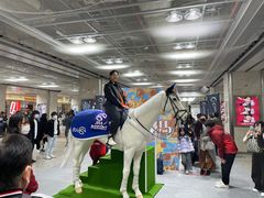 -中部国际机场
