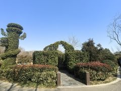 -朴园