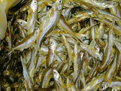 -琼菜王(南海店)