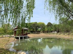 -梁鸿国家湿地公园