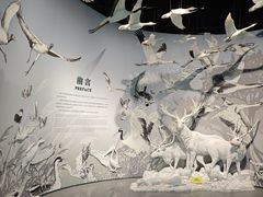 -中国湿地博物馆
