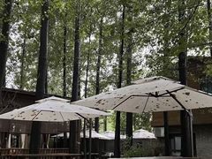 -林间山庄