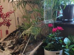 -莱蔻·圣灸堂·推拿艾灸(天山店)