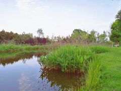 -白鹭湾湿地公园