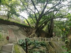 -乌山风景区