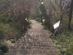 -杭州半山国家森林公园