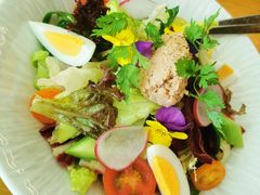 金枪鱼尼斯沙拉-EN SPACE恩空间