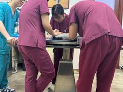 -美联众合动物医院·24h转诊中心