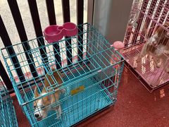 -双季花艺园艺市场(浦东店)