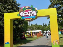 -上海滨江森林公园