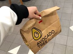 -油梨树 AVOCADO TREE(亮马桥店)