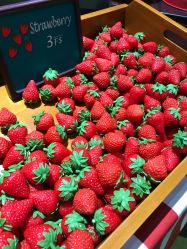 -幻贝家儿童乐园(哈尔滨王府井店)