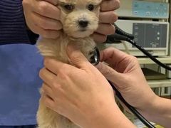 -荔康动物医院(康王北路店)