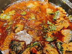 -永安水煮活鱼·仪征菜(仪征奥林匹克店)