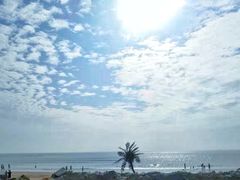 -日照海滨国家森林公园